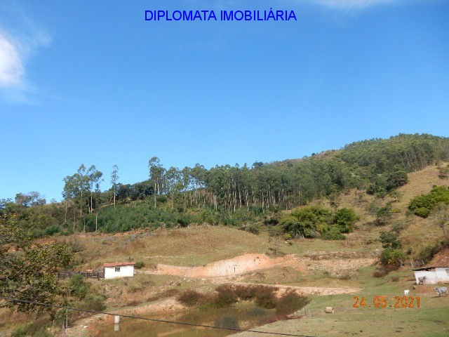 Fazenda à venda com 7 quartos, 726000m² - Foto 13