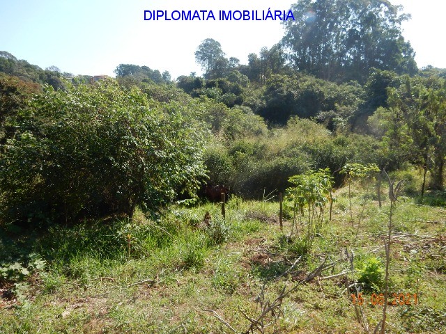 Fazenda à venda com 4 quartos, 7000m² - Foto 64