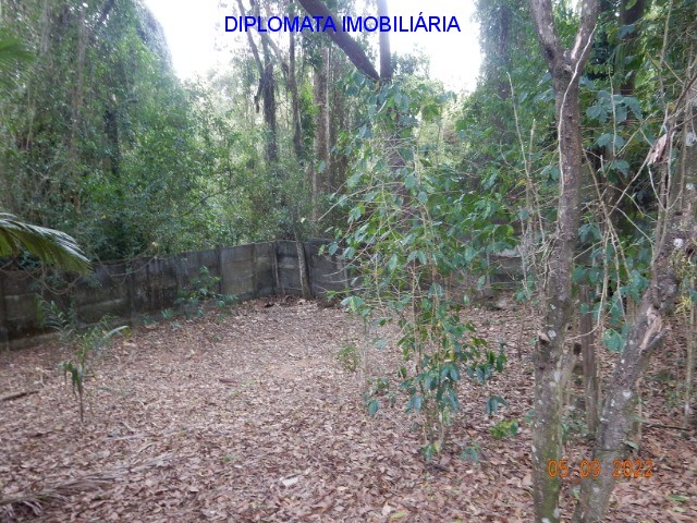 Fazenda à venda com 4 quartos, 20000m² - Foto 37