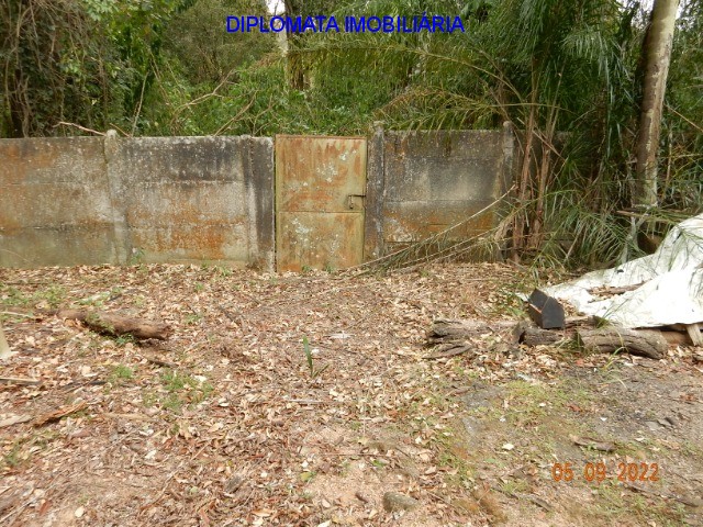 Fazenda à venda com 4 quartos, 20000m² - Foto 34