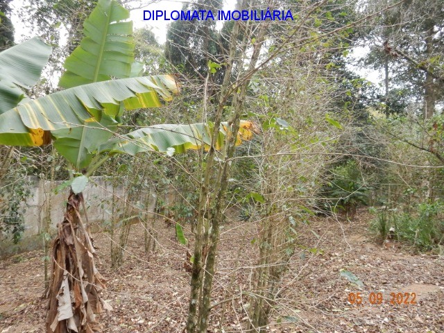 Fazenda à venda com 4 quartos, 20000m² - Foto 35