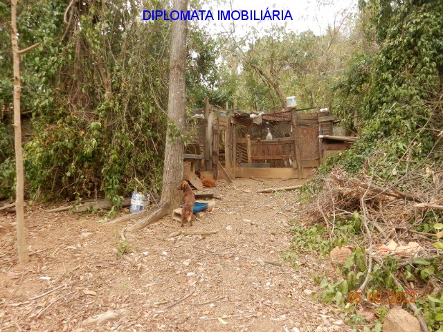 Fazenda à venda com 4 quartos, 20000m² - Foto 41