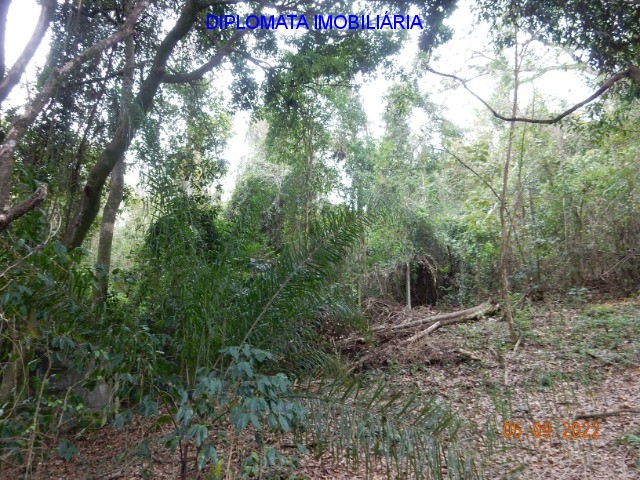 Fazenda à venda com 4 quartos, 20000m² - Foto 38