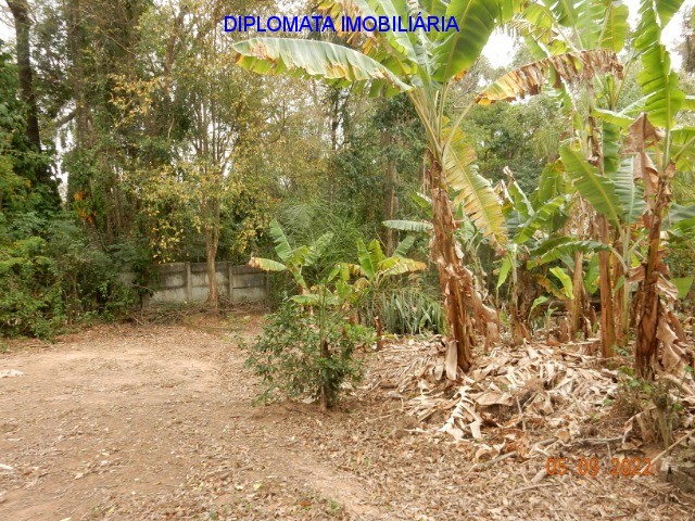 Fazenda à venda com 4 quartos, 20000m² - Foto 33