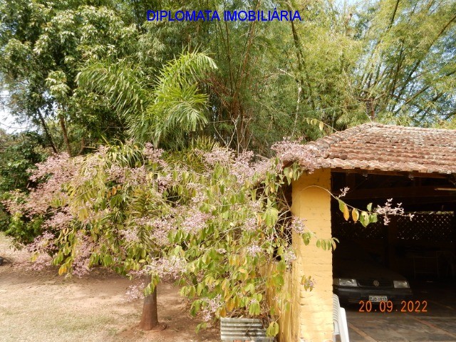 Fazenda à venda com 3 quartos, 10900m² - Foto 10