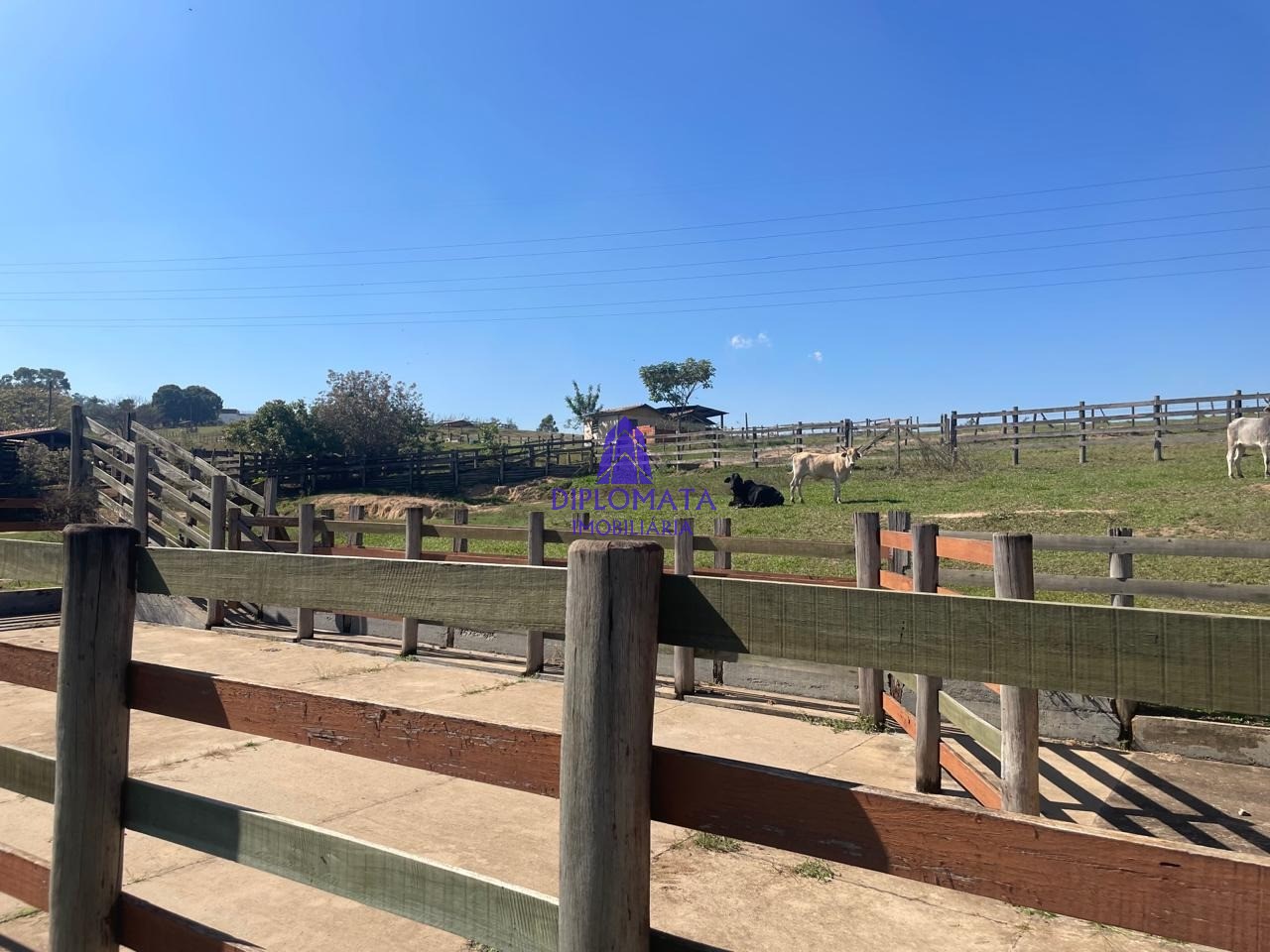 Fazenda à venda com 2 quartos, 180000m² - Foto 26