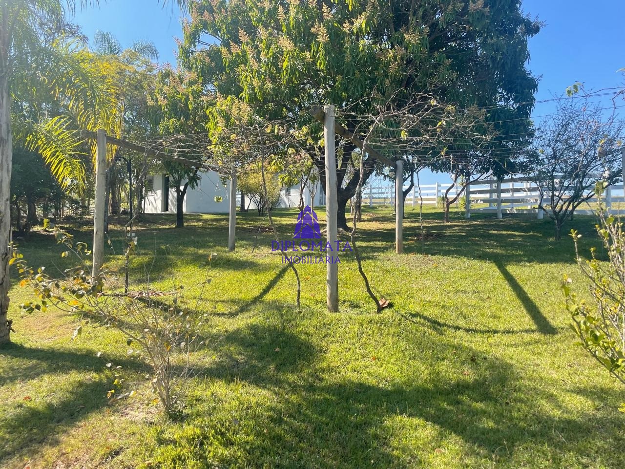 Fazenda à venda com 2 quartos, 180000m² - Foto 5