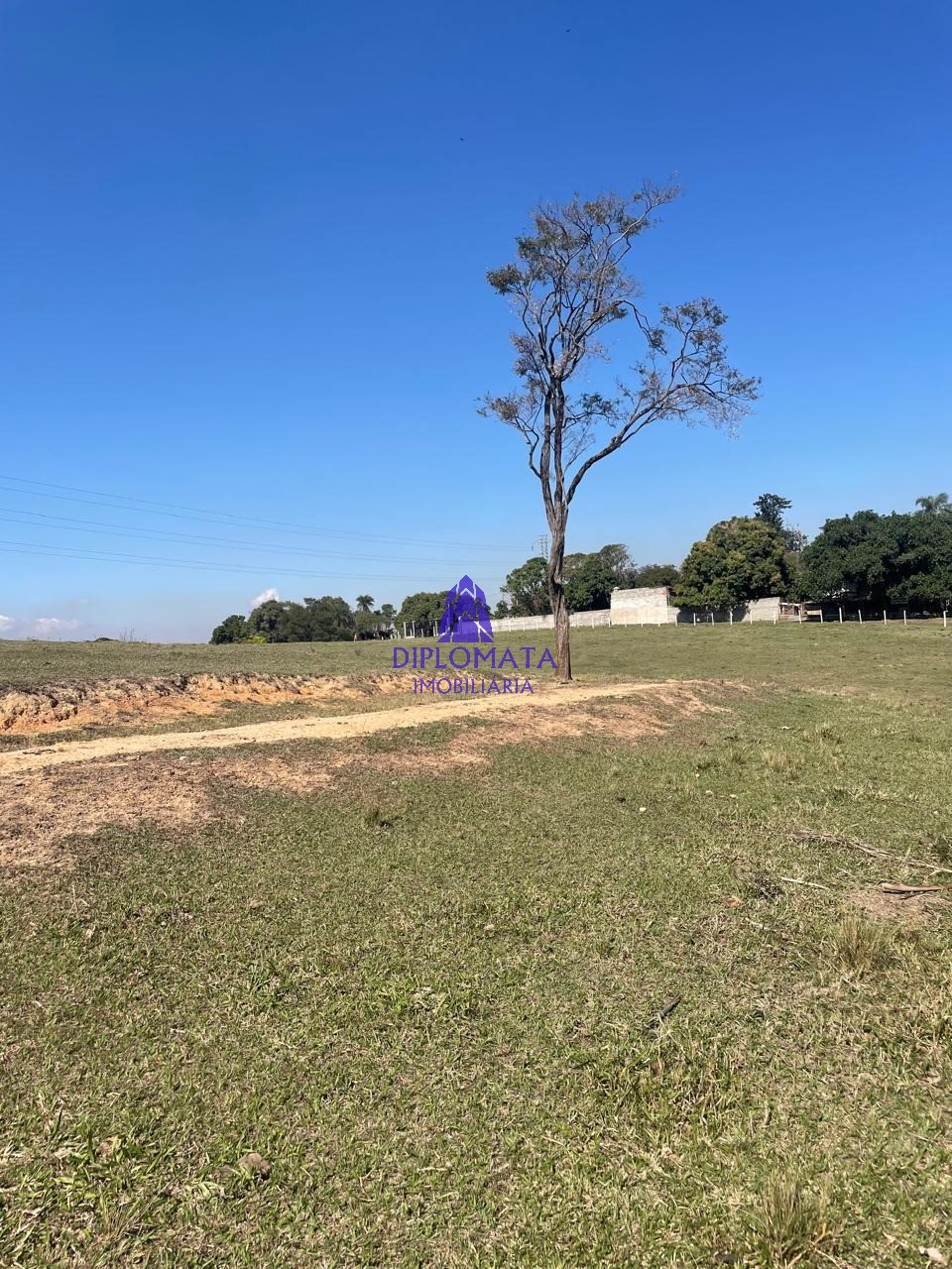 Fazenda à venda com 2 quartos, 180000m² - Foto 34