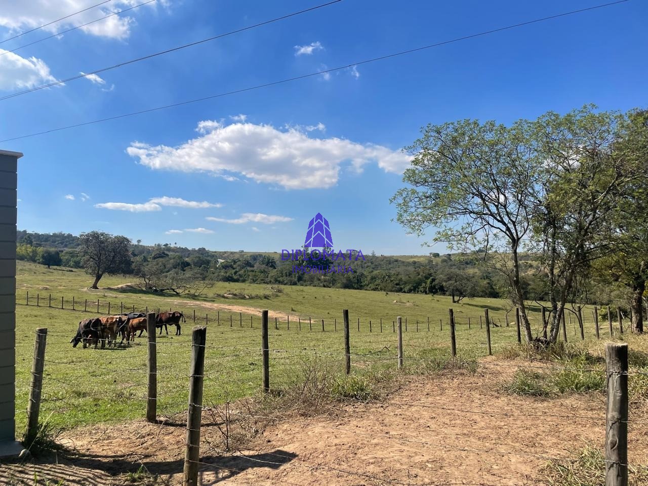 Fazenda à venda com 2 quartos, 180000m² - Foto 55