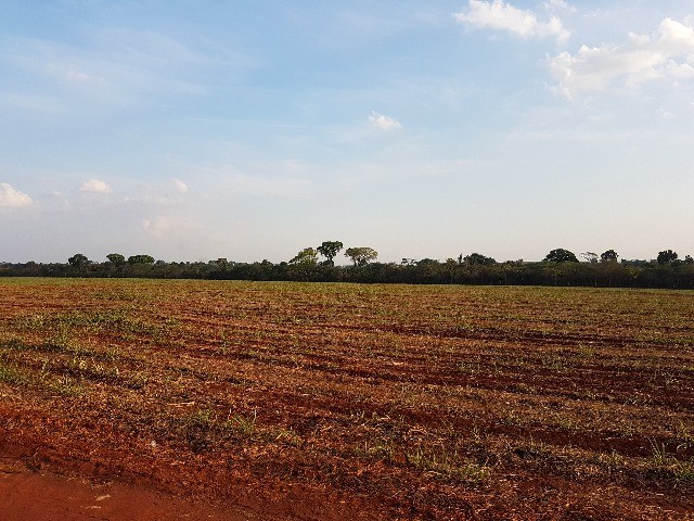 Loteamento e Condomínio à venda, 297000m² - Foto 1