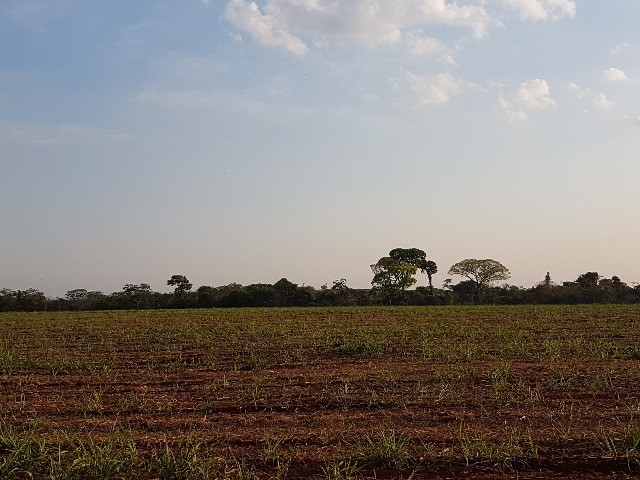 Loteamento e Condomínio à venda, 297000m² - Foto 8