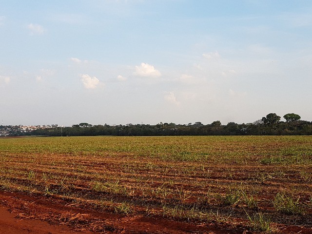 Loteamento e Condomínio à venda, 297000m² - Foto 9