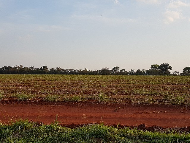 Loteamento e Condomínio à venda, 297000m² - Foto 10