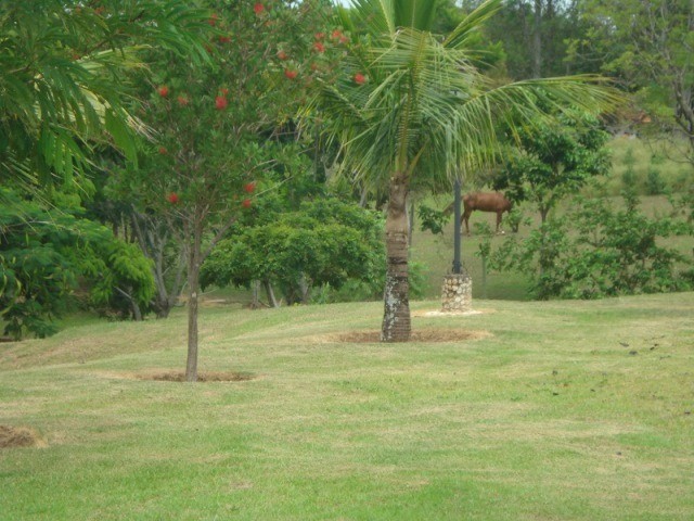 Fazenda à venda com 3 quartos - Foto 12