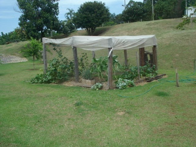 Fazenda à venda com 3 quartos - Foto 49