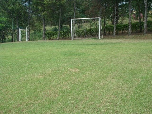 Fazenda à venda com 3 quartos - Foto 52