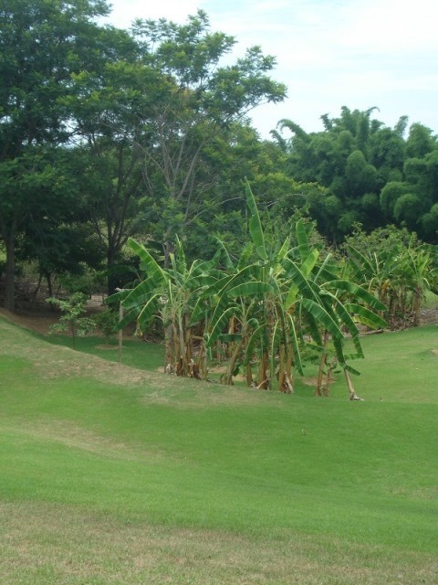 Fazenda à venda com 3 quartos - Foto 60