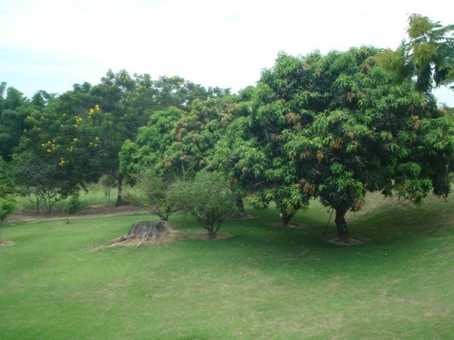 Fazenda à venda com 3 quartos - Foto 61