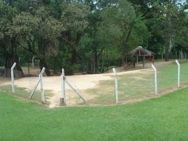 Fazenda à venda com 3 quartos - Foto 65