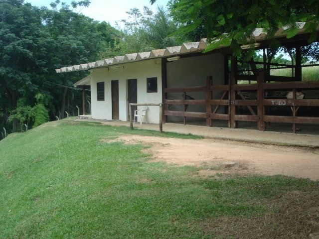 Fazenda à venda com 3 quartos - Foto 66