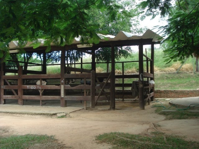 Fazenda à venda com 3 quartos - Foto 67