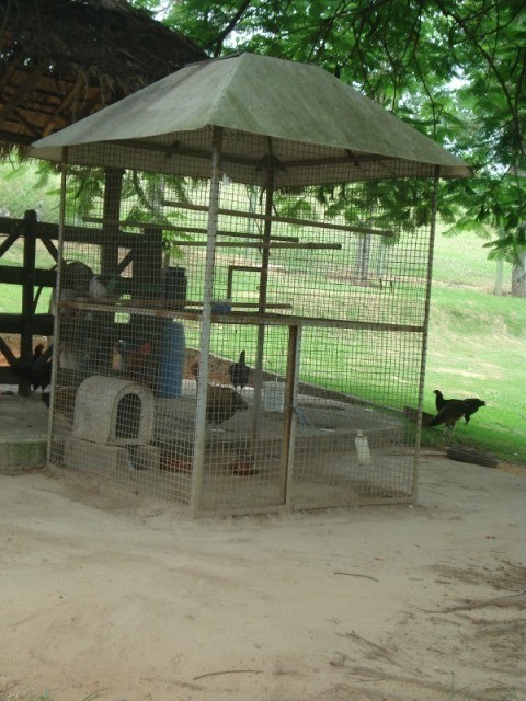 Fazenda à venda com 3 quartos - Foto 68