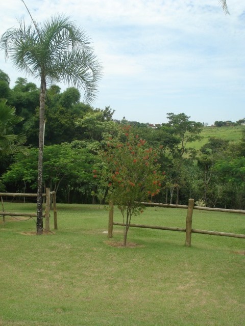 Fazenda à venda com 3 quartos - Foto 70