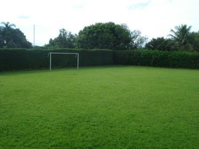 Fazenda à venda com 4 quartos, 1000m² - Foto 10