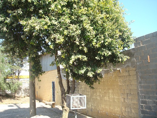 Depósito-Galpão-Armazém para alugar - Foto 13