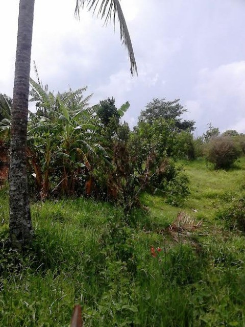 Fazenda à venda, 1387m² - Foto 3