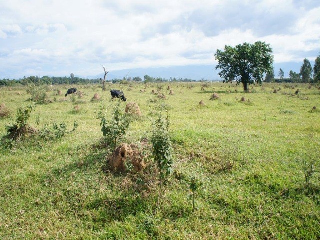 Loteamento e Condomínio à venda - Foto 2