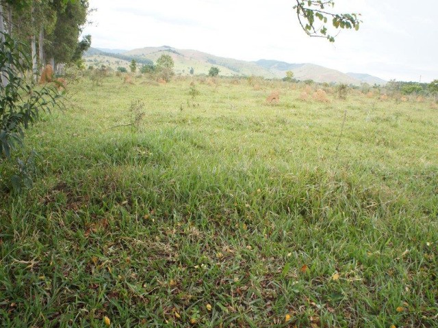 Loteamento e Condomínio à venda - Foto 3