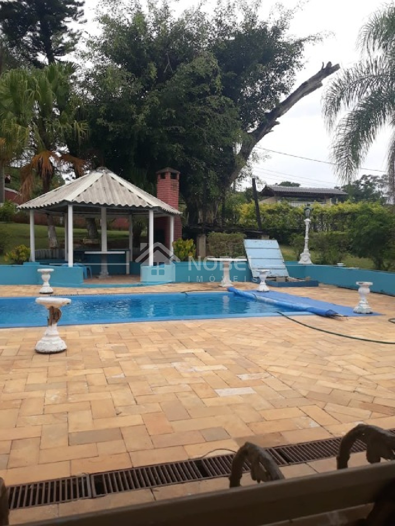 Chácara, 5 quartos, 8216 m² - Foto 15