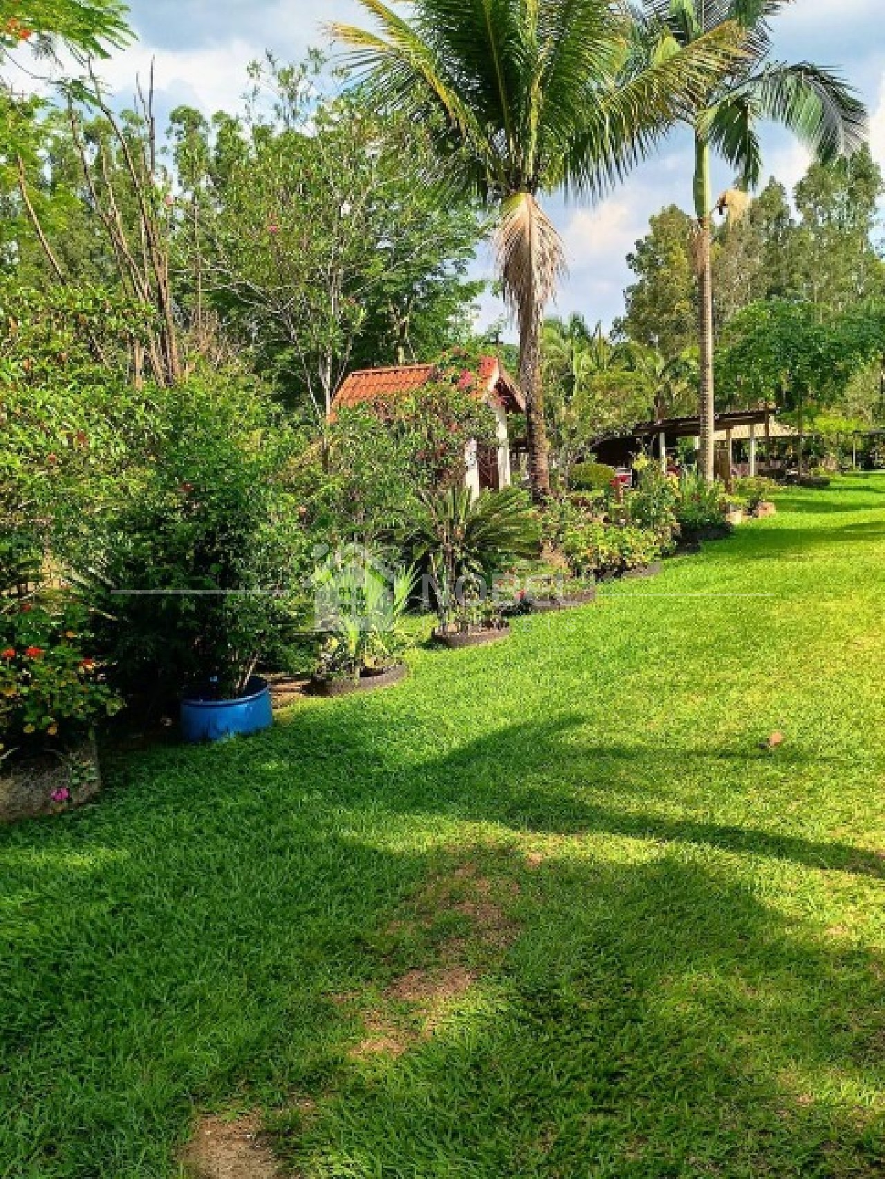 Sítio, 3 quartos, 3 hectares - Foto 8