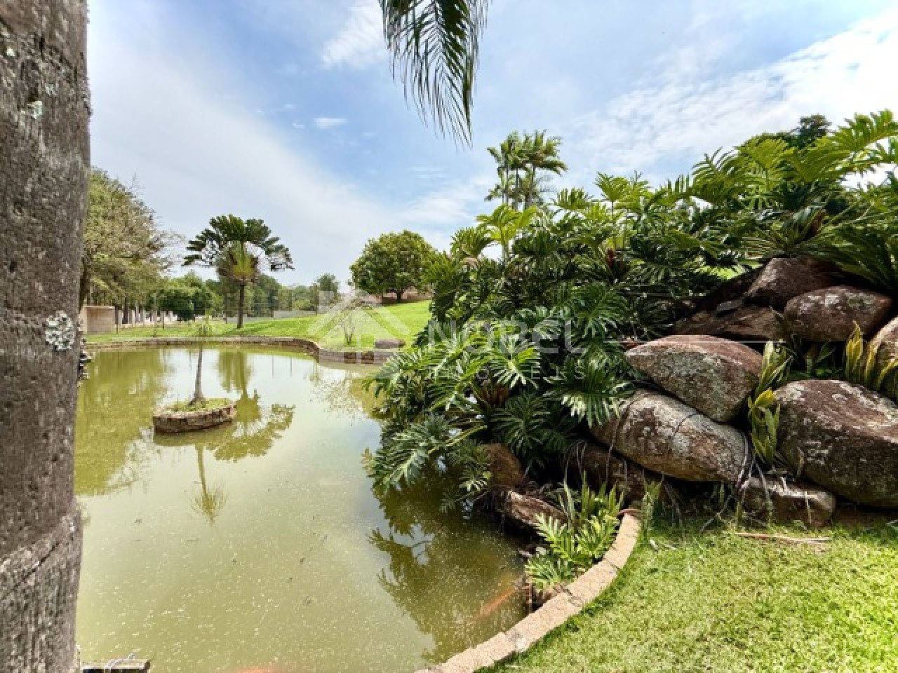 Chácara, 3 quartos, 5000 m² - Foto 22