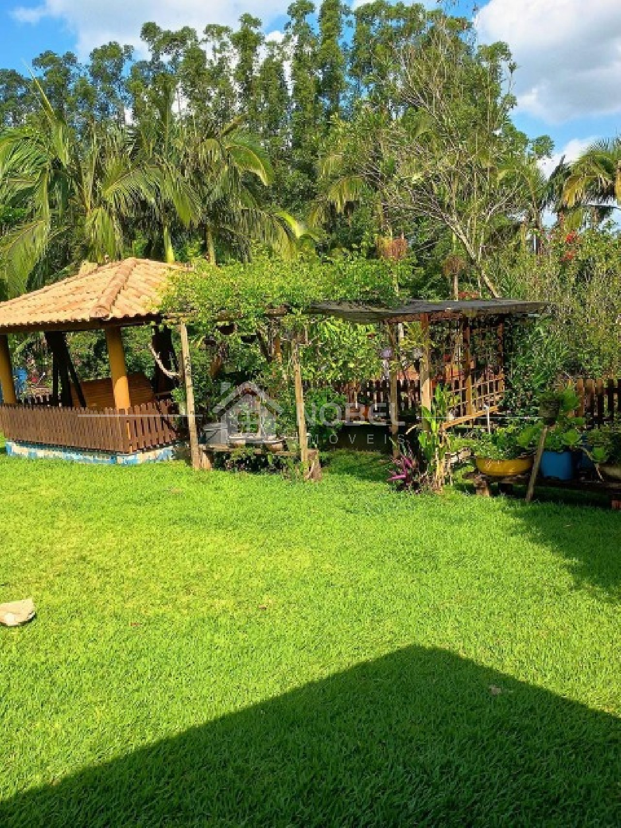 Sítio, 3 quartos, 3 hectares - Foto 40