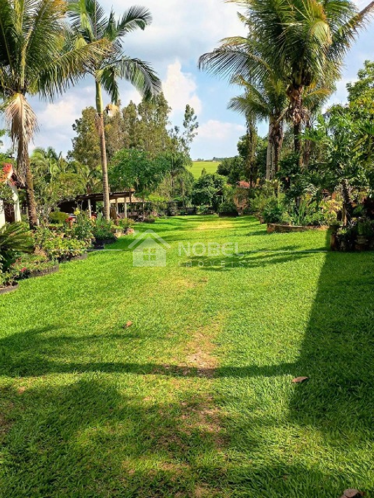 Sítio, 3 quartos, 3 hectares - Foto 7