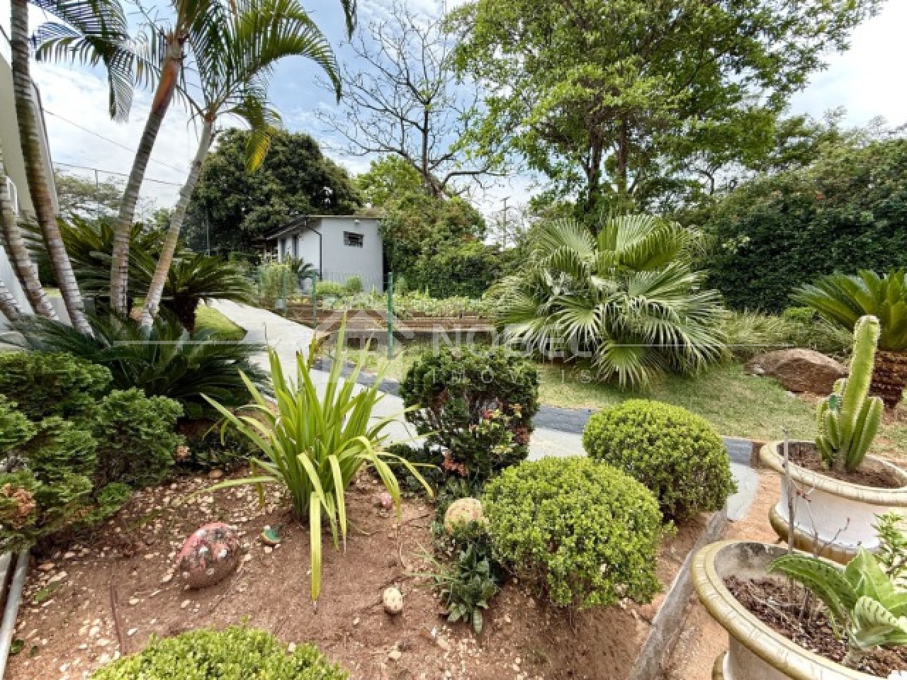 Chácara, 3 quartos, 5000 m² - Foto 20