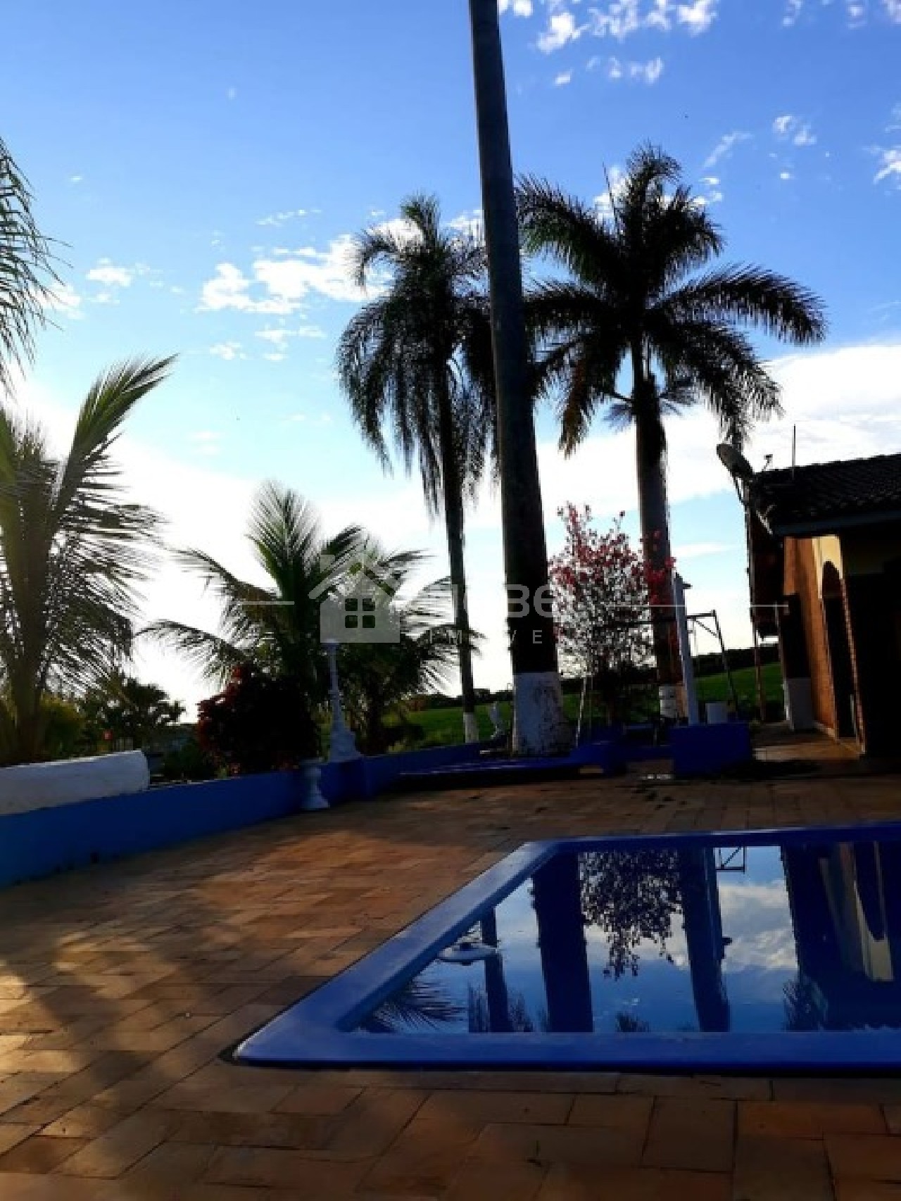 Chácara, 5 quartos, 8216 m² - Foto 6