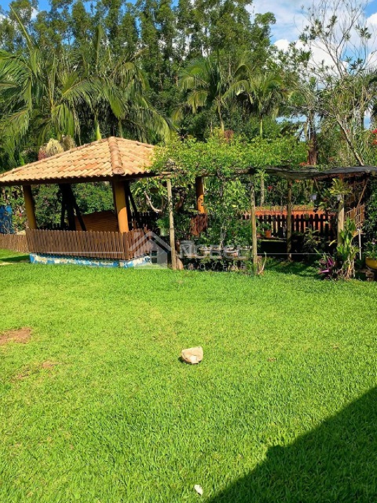 Sítio, 3 quartos, 3 hectares - Foto 5