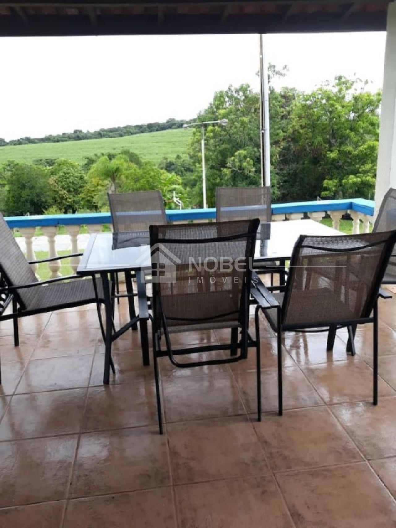 Chácara, 5 quartos, 8216 m² - Foto 13