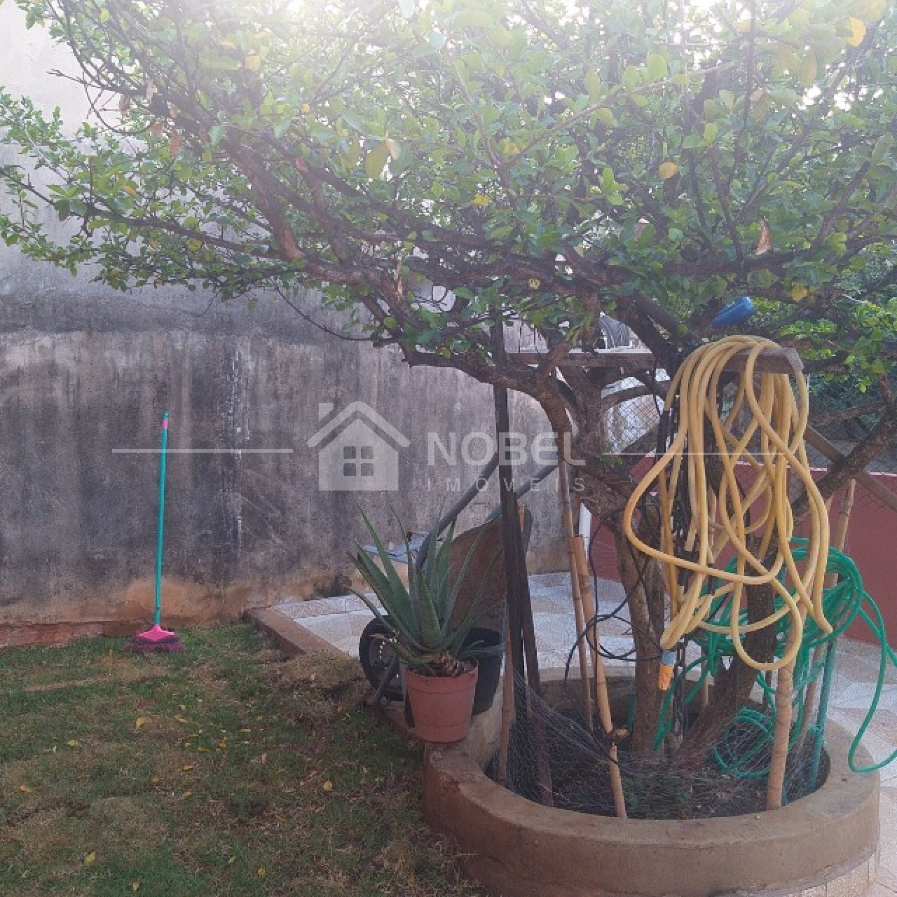 Casa, 3 quartos - Foto 13