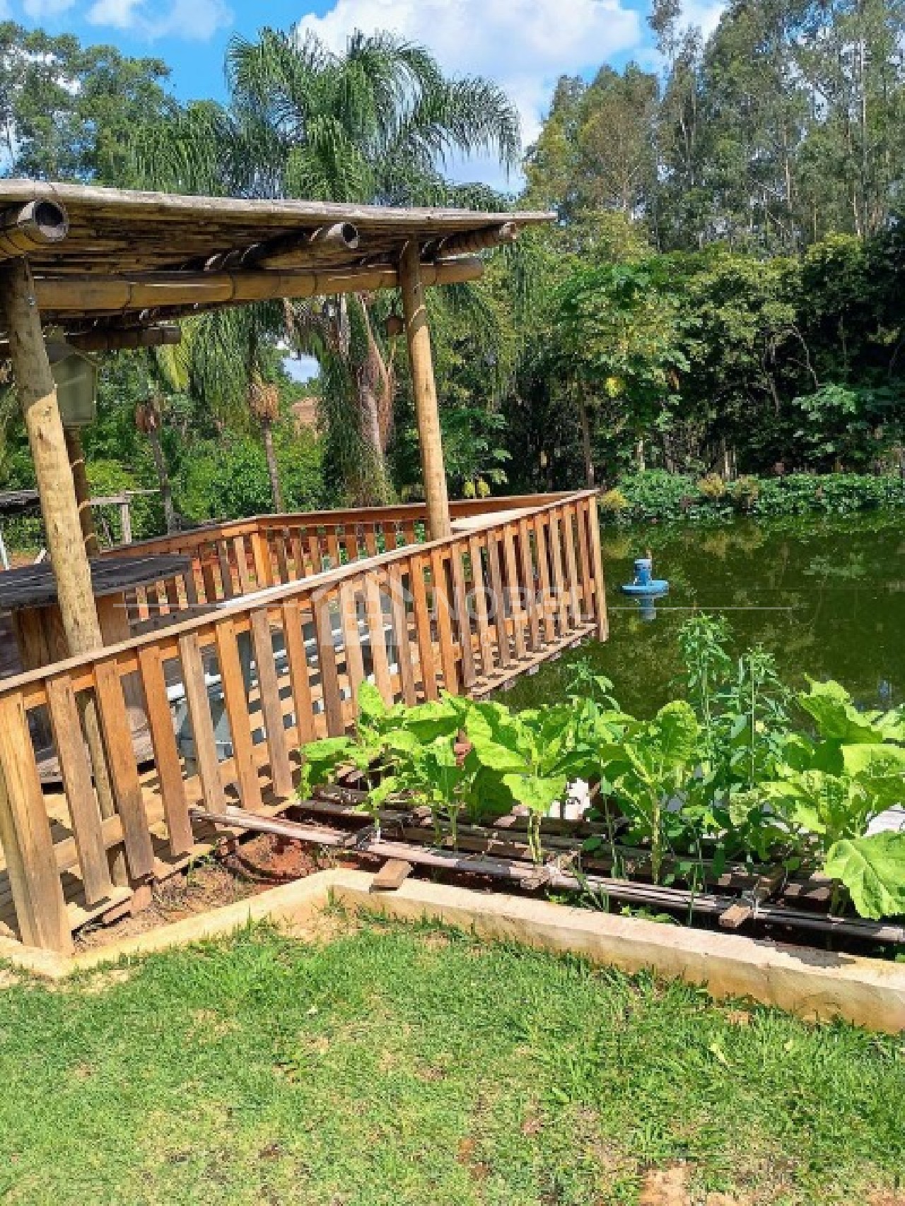 Sítio, 3 quartos, 3 hectares - Foto 45