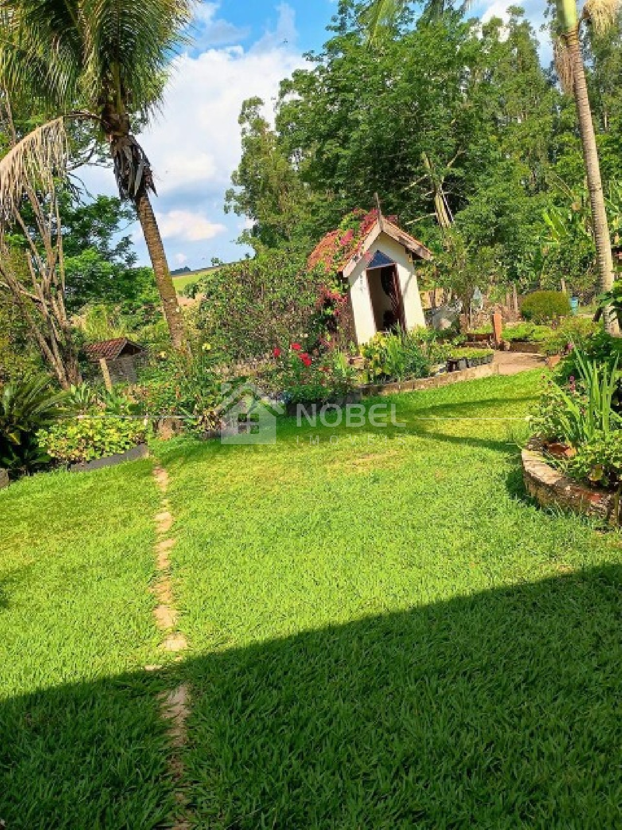 Sítio, 3 quartos, 3 hectares - Foto 10