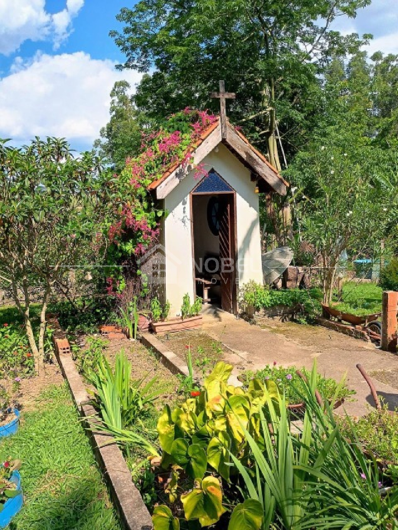 Sítio, 3 quartos, 3 hectares - Foto 13