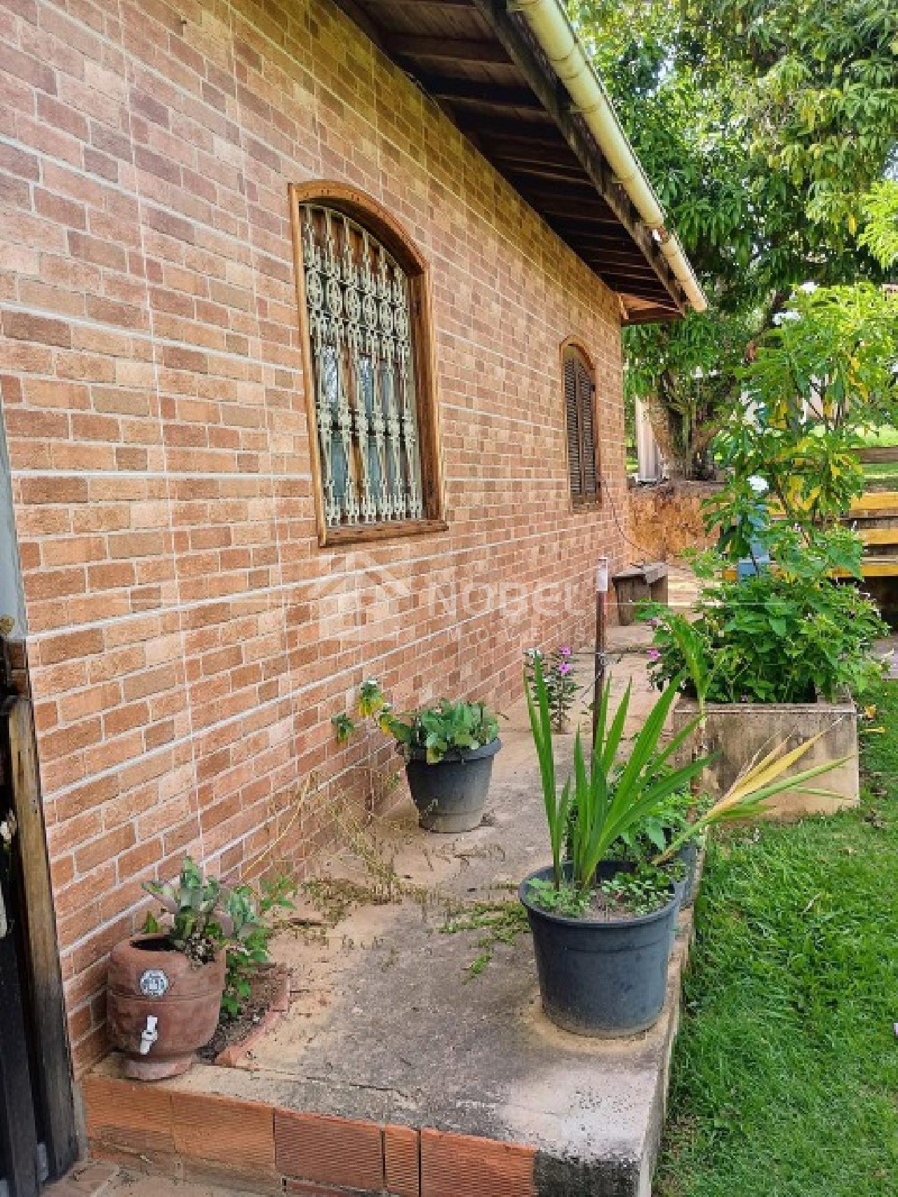 Sítio, 3 quartos, 3 hectares - Foto 20