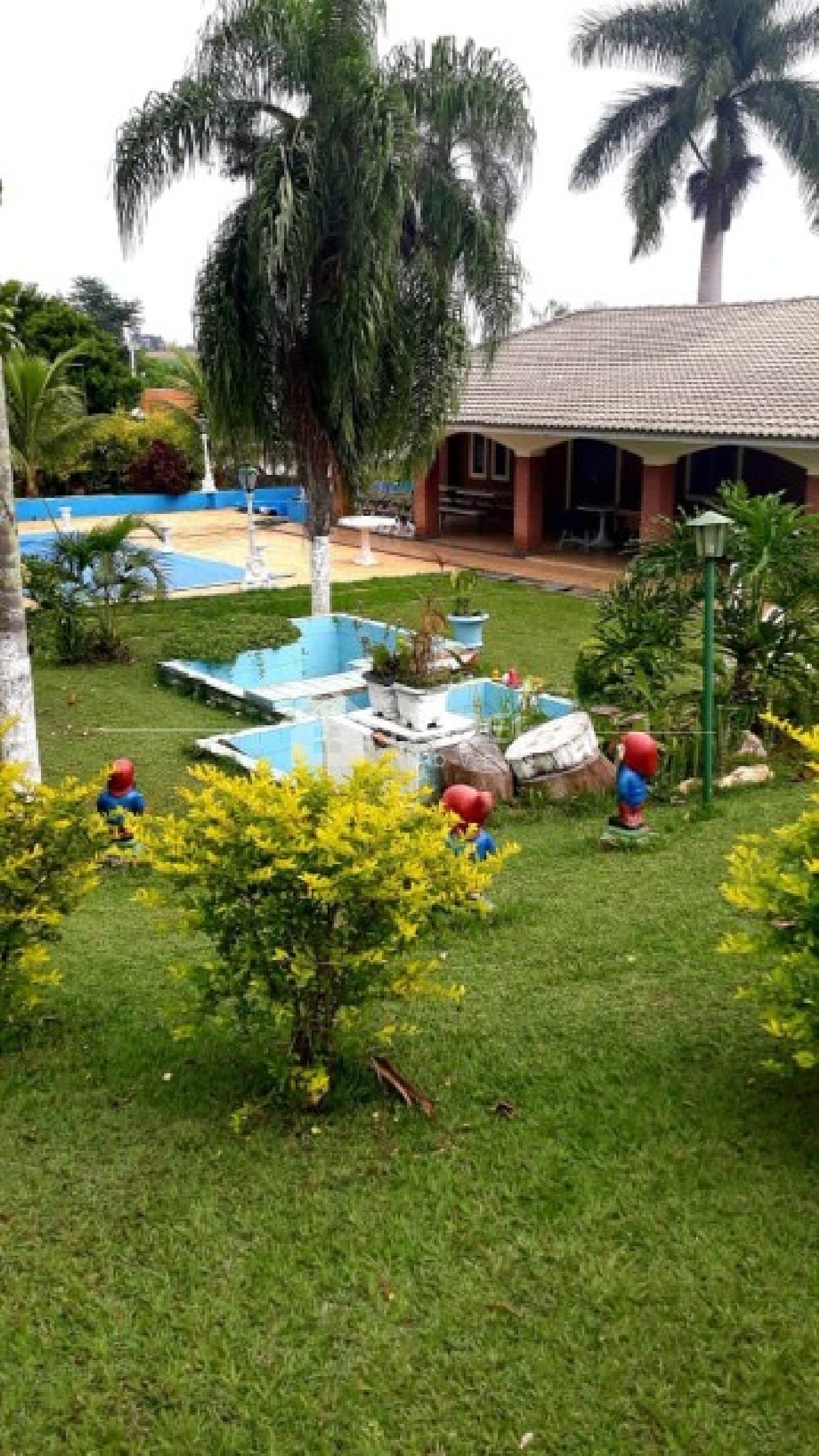 Chácara, 5 quartos, 8216 m² - Foto 10