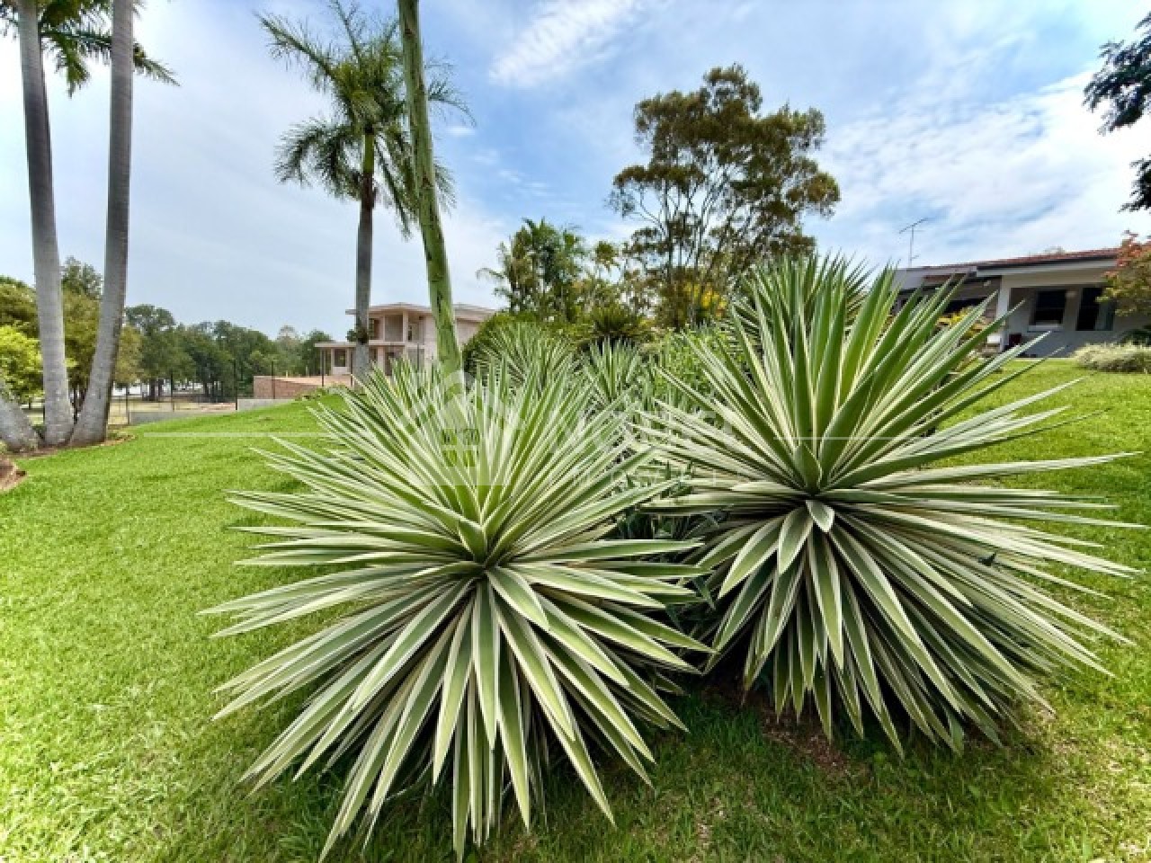 Chácara, 3 quartos, 5000 m² - Foto 5