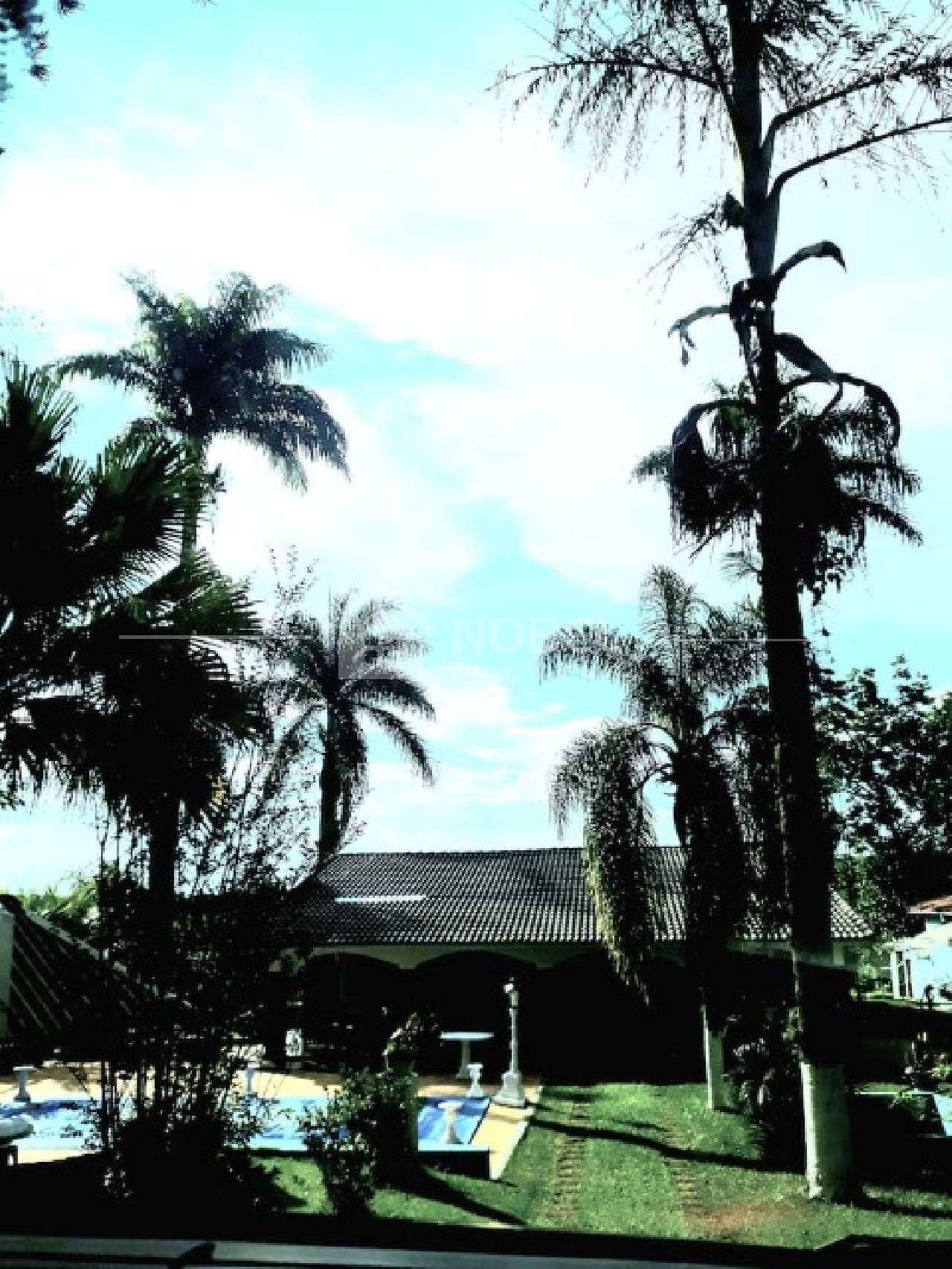 Chácara, 5 quartos, 8216 m² - Foto 47