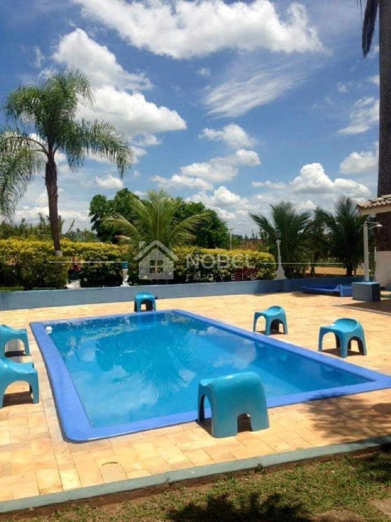 Chácara, 5 quartos, 8216 m² - Foto 43